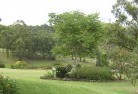 Slacks Creekresidential-landscaping-40.jpg; ?>